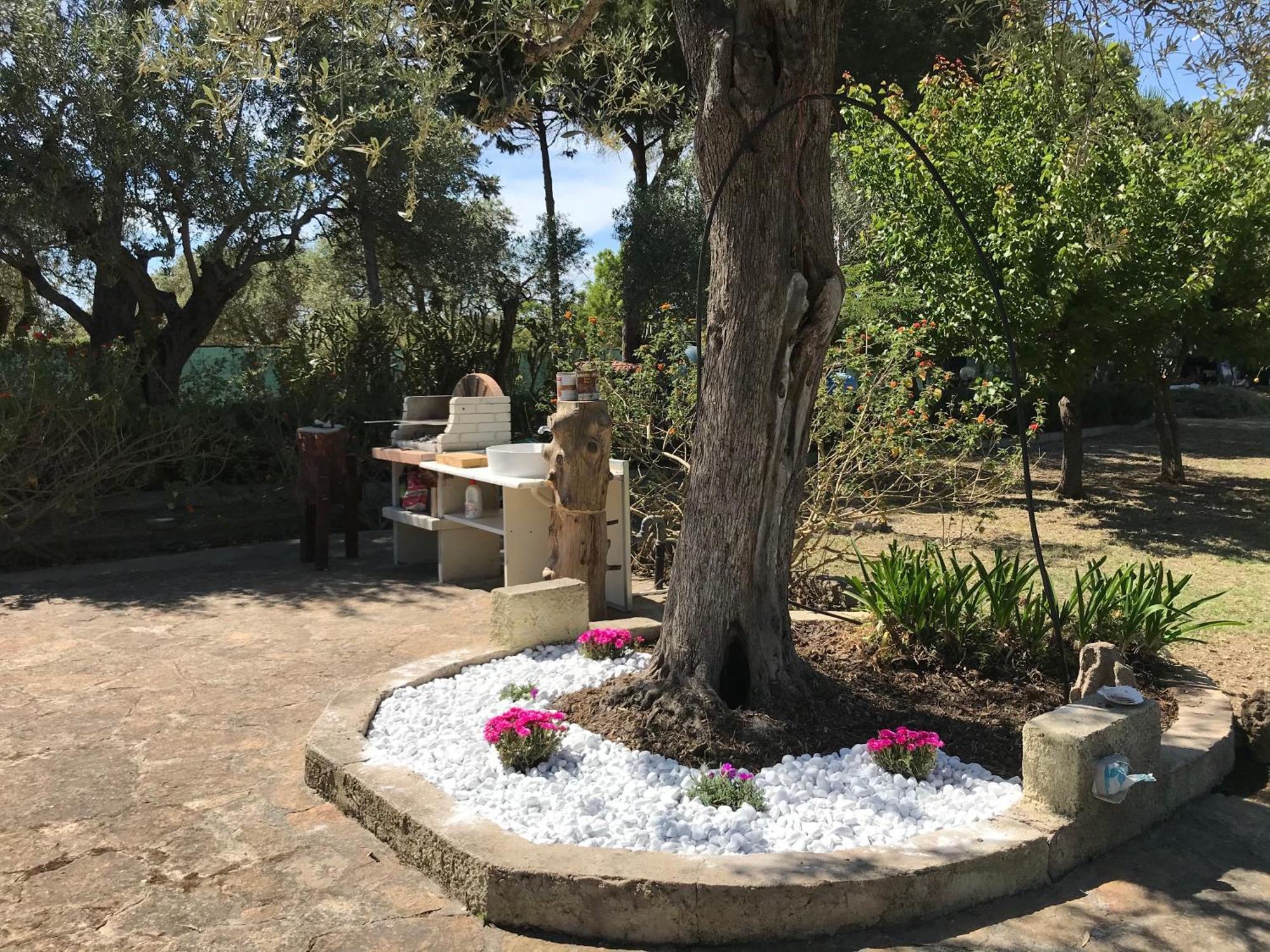 Butterfly House Bed & Breakfast Alghero Eksteriør bilde